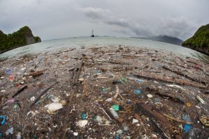 <p>Only 1% of all plastic that enters the ocean floats on the surface; the remaining 99% ends up on beaches, the sea floor or inside animals.(Image by <a href="https://commons.wikimedia.org/wiki/File:Beach_at_Msasani_Bay,_Dar_es_Salaam,_Tanzania.JPG" target="_blank" rel="noopener">Loranchet</a>)</p>