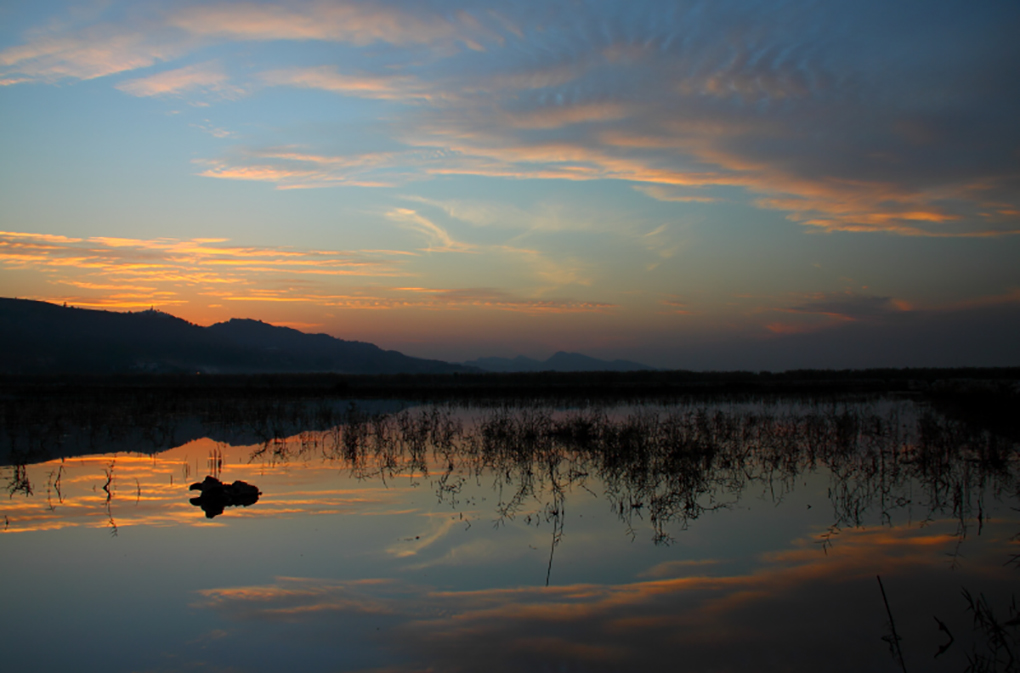Uchhali at dusk [image by: WWF Pakistan]