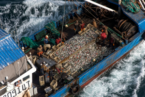 <p>图片来源: <a href="https://media.greenpeace.org/archive/Chinese-Fishing-Vessel-in-Guinea-27MZIFJJEKSON.html">Pierre Gleizes / Greenpeace</a></p>