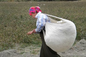 <p>A worker on a cotton farm in Uzbekistan (Image by MARKA / Alamy)</p>