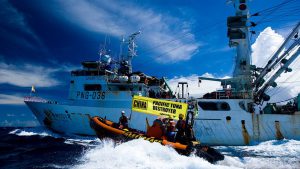 <p>中国渔船在全世界超过90个国家都有捕捞作业，作业范围遍及除加勒比海、北大西洋和北极地区之外的所有海洋和地区。图片来源：<a href="https://media.greenpeace.org/archive/Action-against-Chinese-Fishing-Vessel-in-the-Pacific-27MZIFLY5L2C.html">Greenpeace / Paul Hilton</a></p>