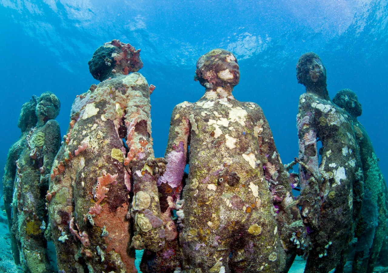 <p>Photos by Jason deCaires Taylor/ CACT Lanzarote</p>