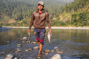 <p>Raju Majhi, a fisherman from Majhitar with his catch of the day in the Dhading district, Nepal. Majhi is among thousands who fear resettlement when the project work begins [image: Nabin Baral/The Third Pole]</p>