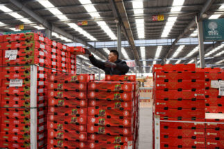 <p>Os clientes compram cerejas chilenas em um mercado atacadista no condado de Longli, Qiannan Buyei e Prefeitura Autônoma de Miao, província de Guizhou no sudoeste da China (Imagem: Alamy)</p>