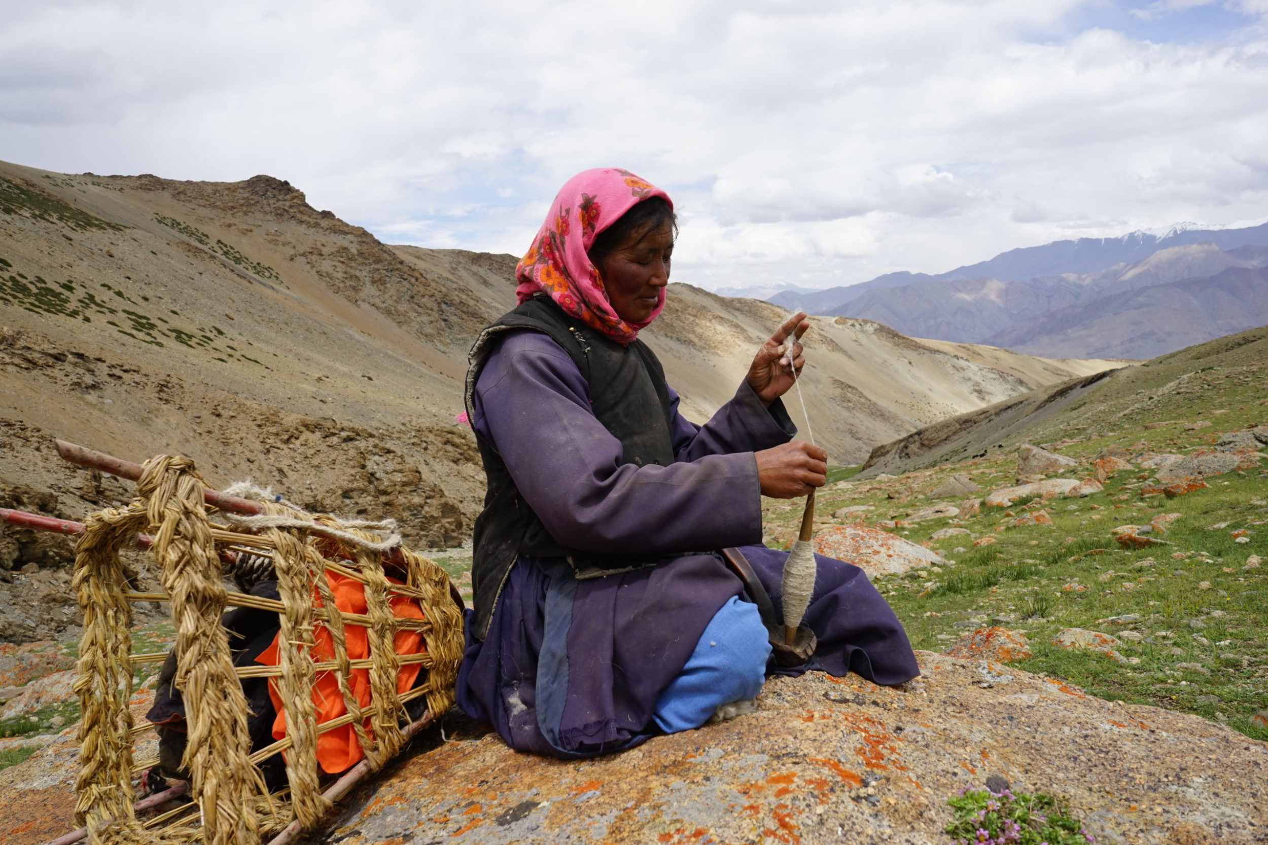 Wool from their goats are the wealth of the shepherds in Ladakh [image by: Stanzin Dorjai Gya]