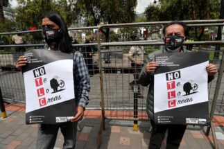 Manifestantes frente al palacio presidencial de Ecuador se oponen a un acuerdo de comercio e inversión con la Corporación Financiera de Desarrollo de Estados Unidos