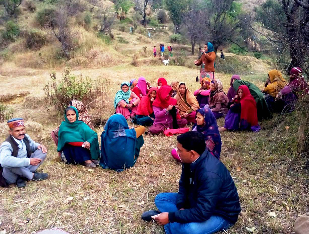 Gaddis rest along their migratory route [Image by: Abha Joglekar]