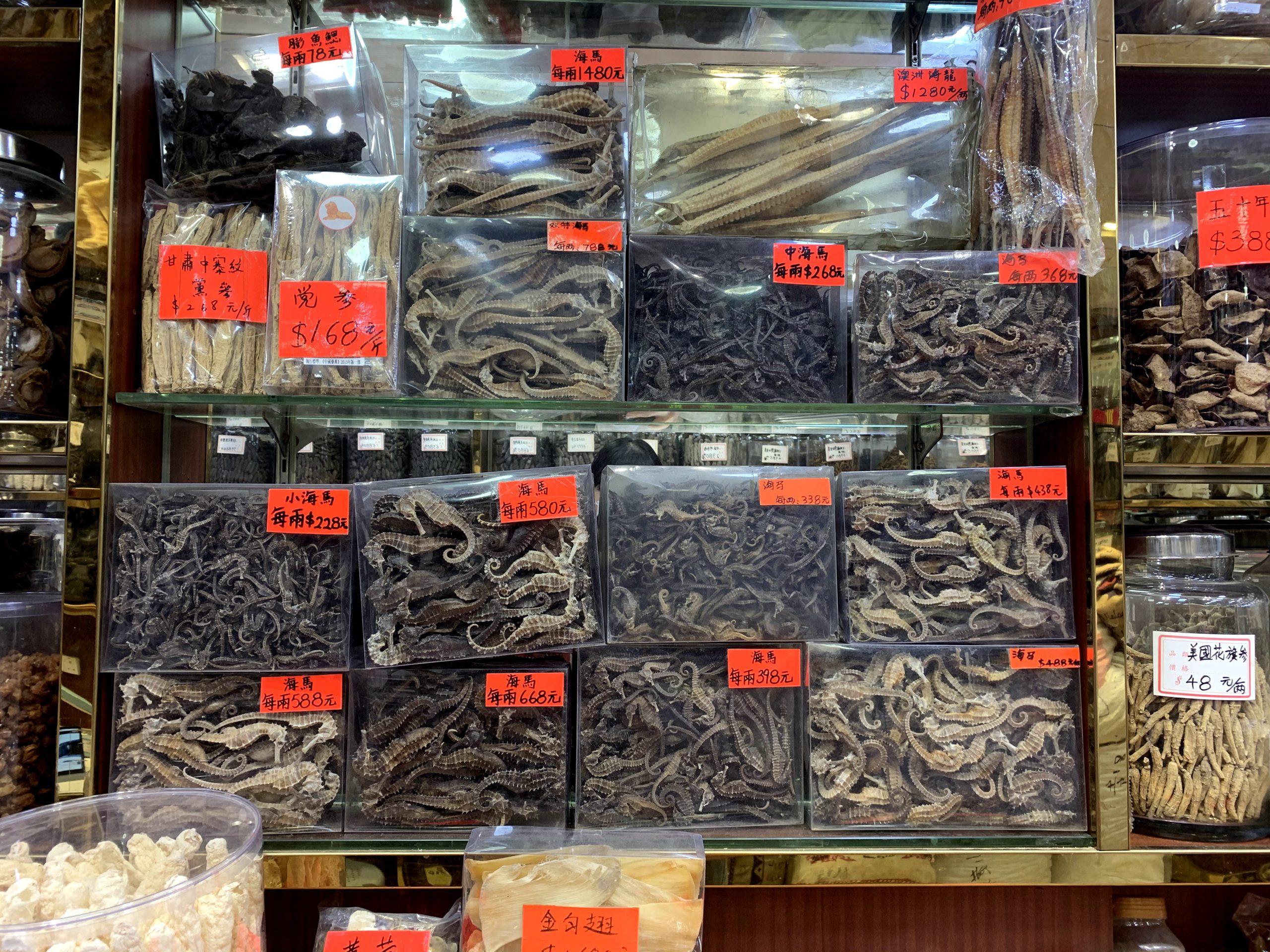 caballitos marinos y otras especies acuáticas en un mercado en un mercado de Hong Kong