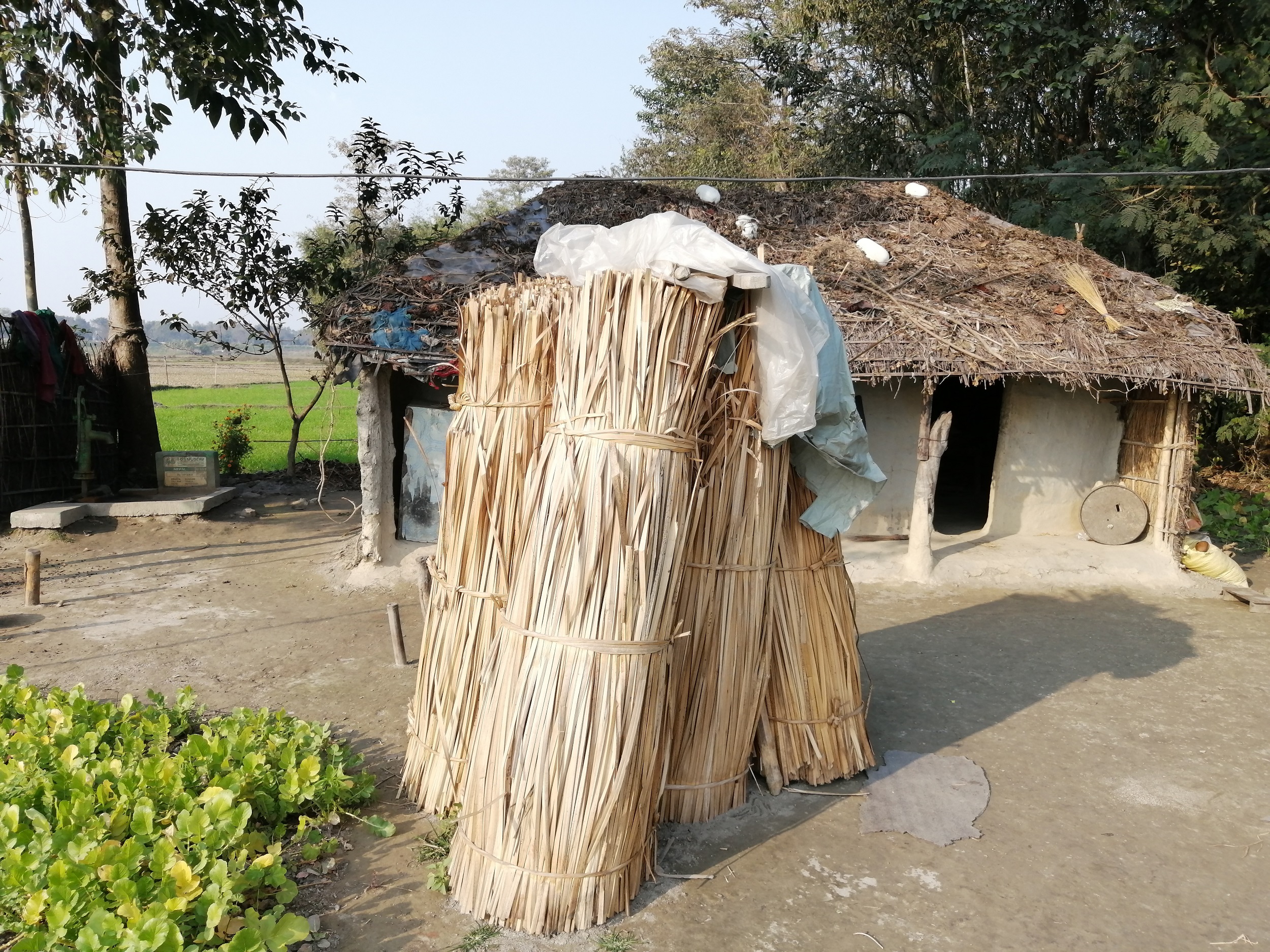 Bundle of dried water hyacinths [image by: Birat Anupam]