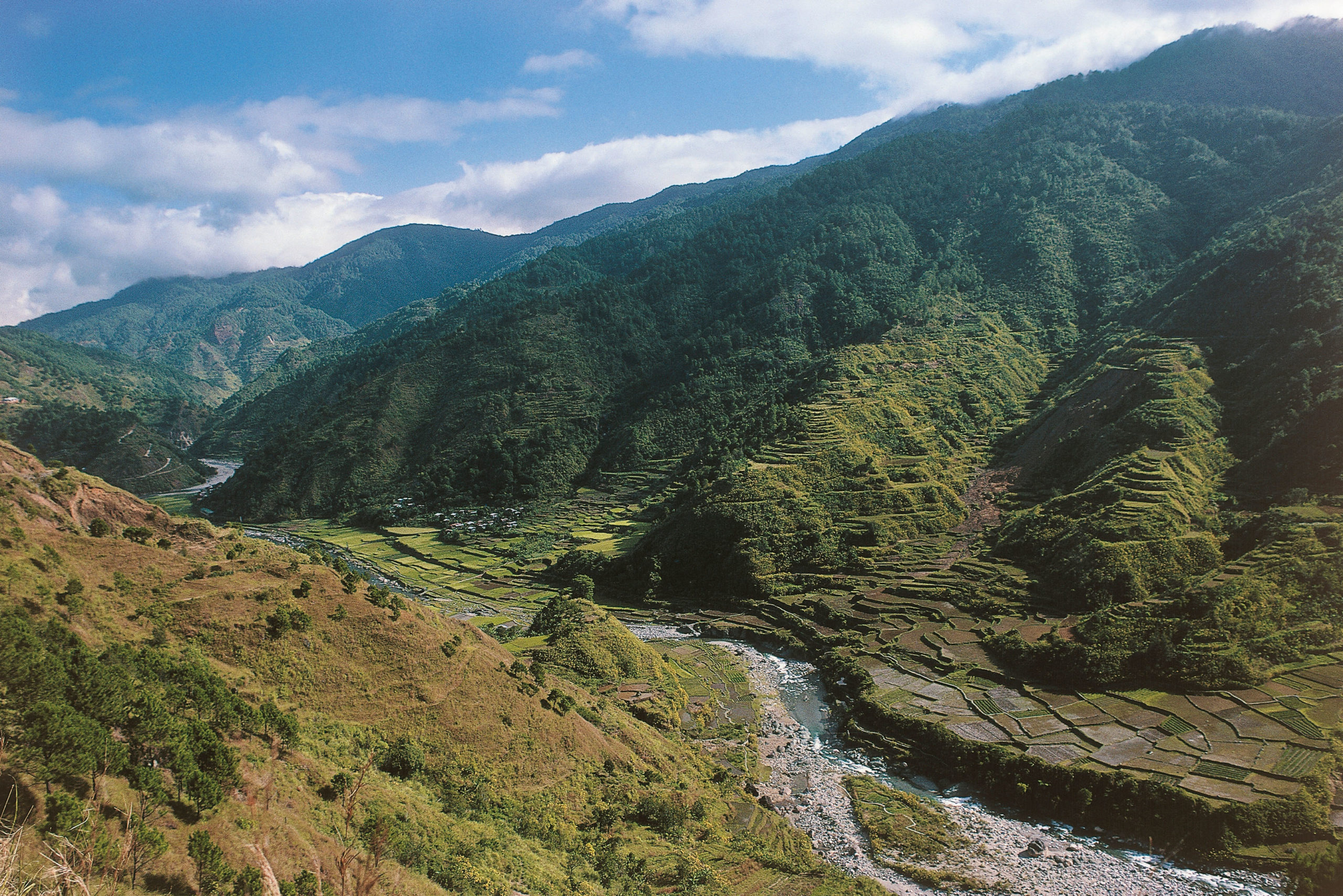 <p>赤口河在科迪勒拉地区森林茂密的群山峻岭中蜿蜒流过。那里有许多动植物物种，也是卡林阿等原住民群体的家园。图片来源：Alamy</p>