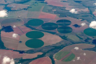 Vista aérea das plantações de soja no cerrado do Cerrado do Brasil.