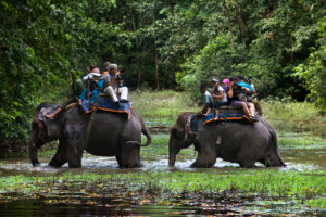 <p>Tourists on elephant safari in Chitwan National Park, Nepal [Image by: Sergi Reboredo / Alamy]</p>