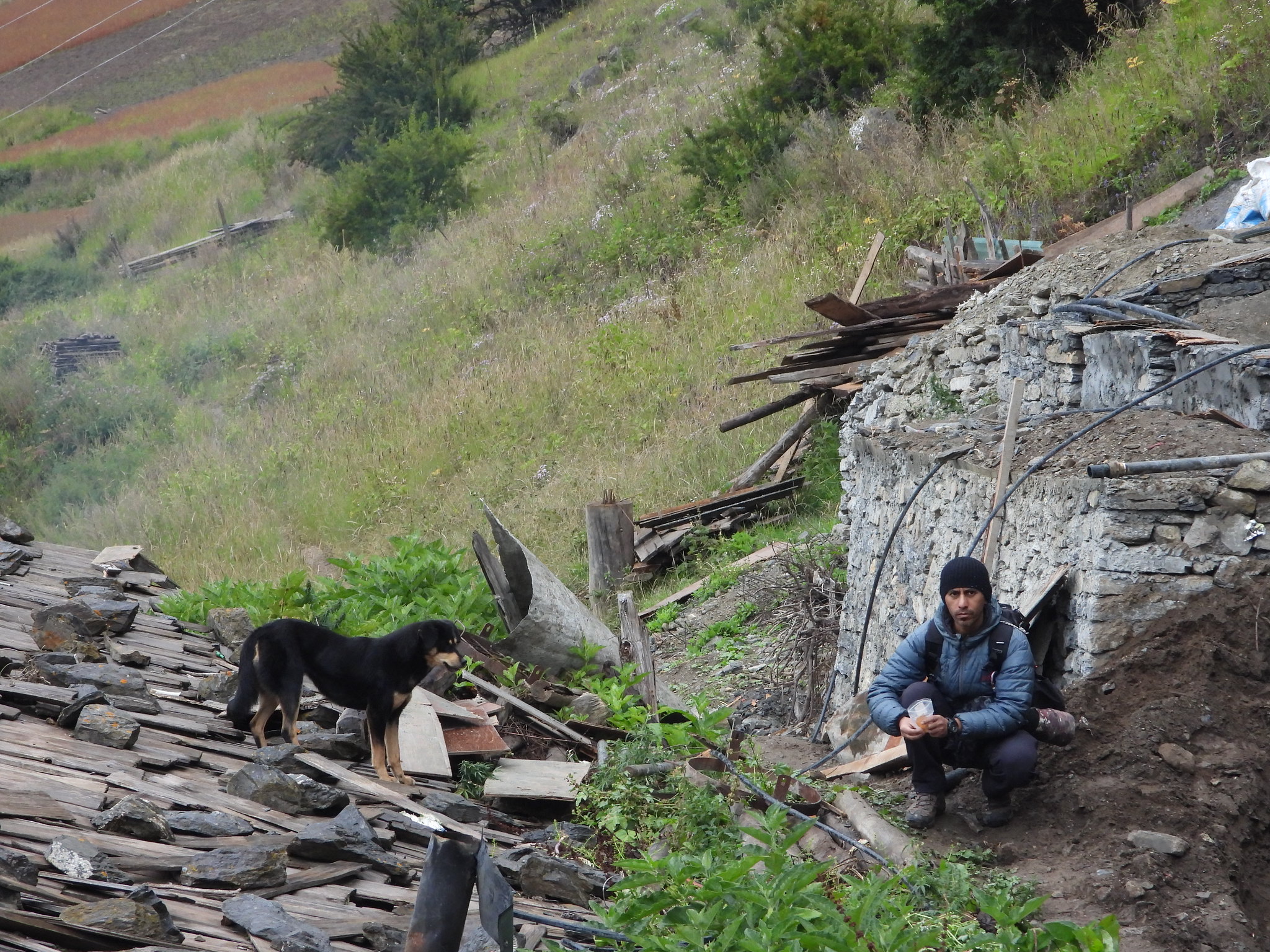 It is people that bring dogs into the mountains [image by: Debby Ng]