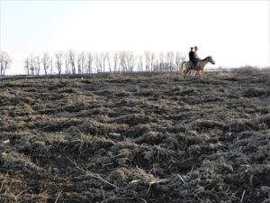 <p>Two boys on horseback deep inside the Hokersar wetland, where excavated material has been dumped (Image: Athar Parvaiz/The Third Pole)</p>