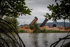 <p>While mangroves feature prominently in advertising for new tourist developments inside Ream, vehicles are busy destroying the wetlands in which they grow (Image: <a href="https://www.rounryphotography.com/" target="_blank" rel="noreferrer noopener">Roun Ry</a> / China Dialogue)</p>