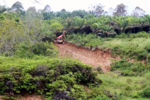 <p>Although permission has yet to be granted, work has already begun to ready the ground for a tailings dam near the villages of Sopokomil and Parongil in earthquake-prone North Sumatra (Image: Tonggo Simangunsong)</p>