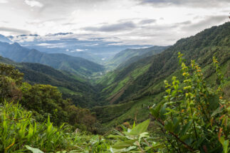 <p>Colinas de los Andes en Colombia, donde ocurre la mayor proporción de ataques a defensores ambientales. (imagen: Alamy)</p>