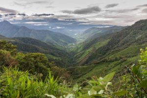 <p>哥伦比亚安第斯山区是环境守护者遭遇袭击最多的地区。图片来源：Gabbro / Alamy</p>