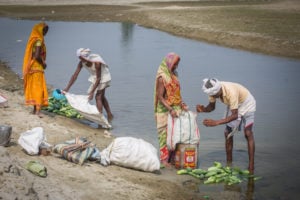Farmers clean cucumbers in the Kamala river