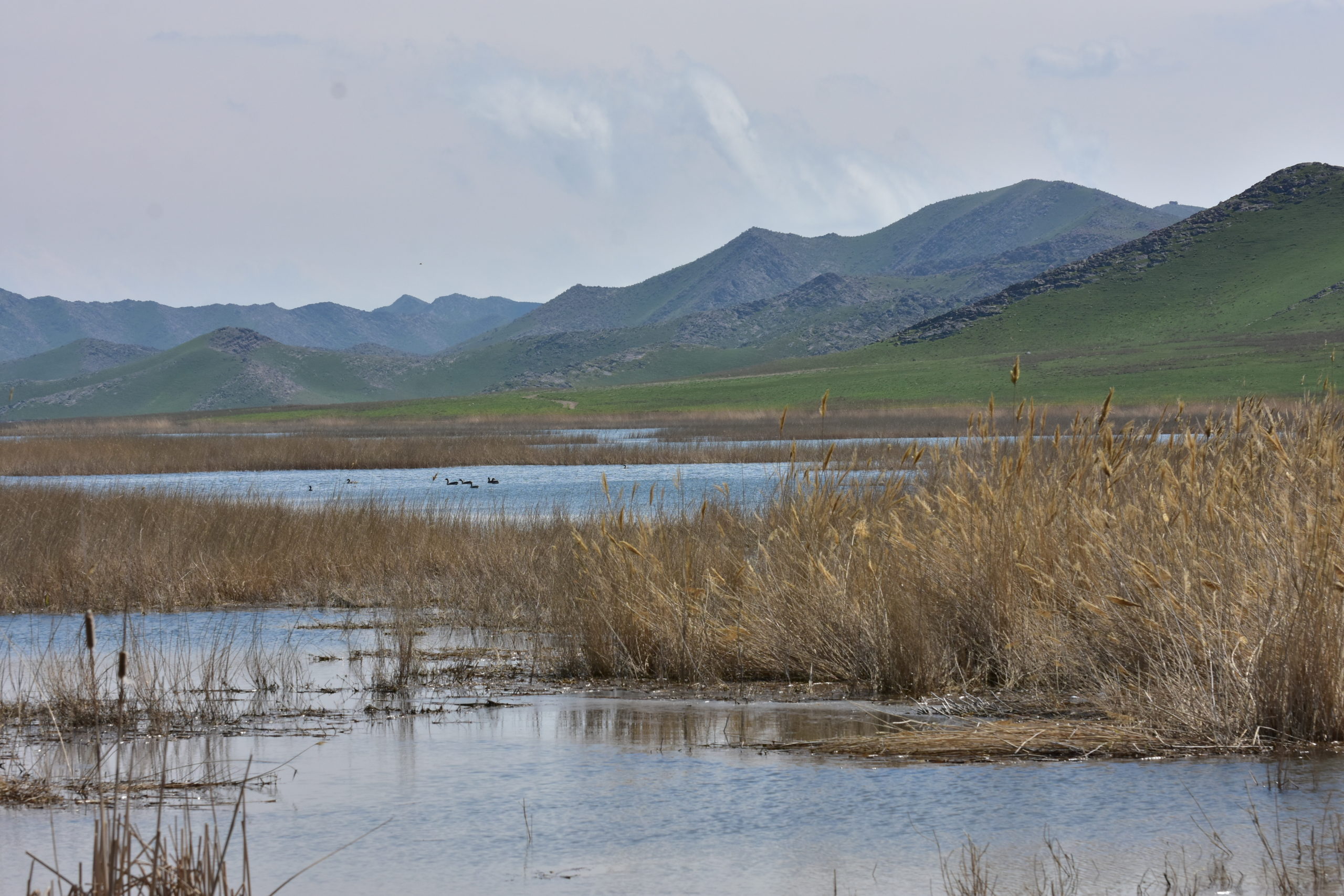 Lake Tuzkan in Jizzakh region, Mariya Gritsina