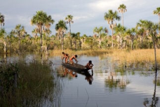 Personas de la comunidad Xingu pescan en una canoa