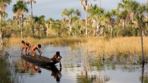 Membros da comunidade do Xingu pescam em uma canoa.