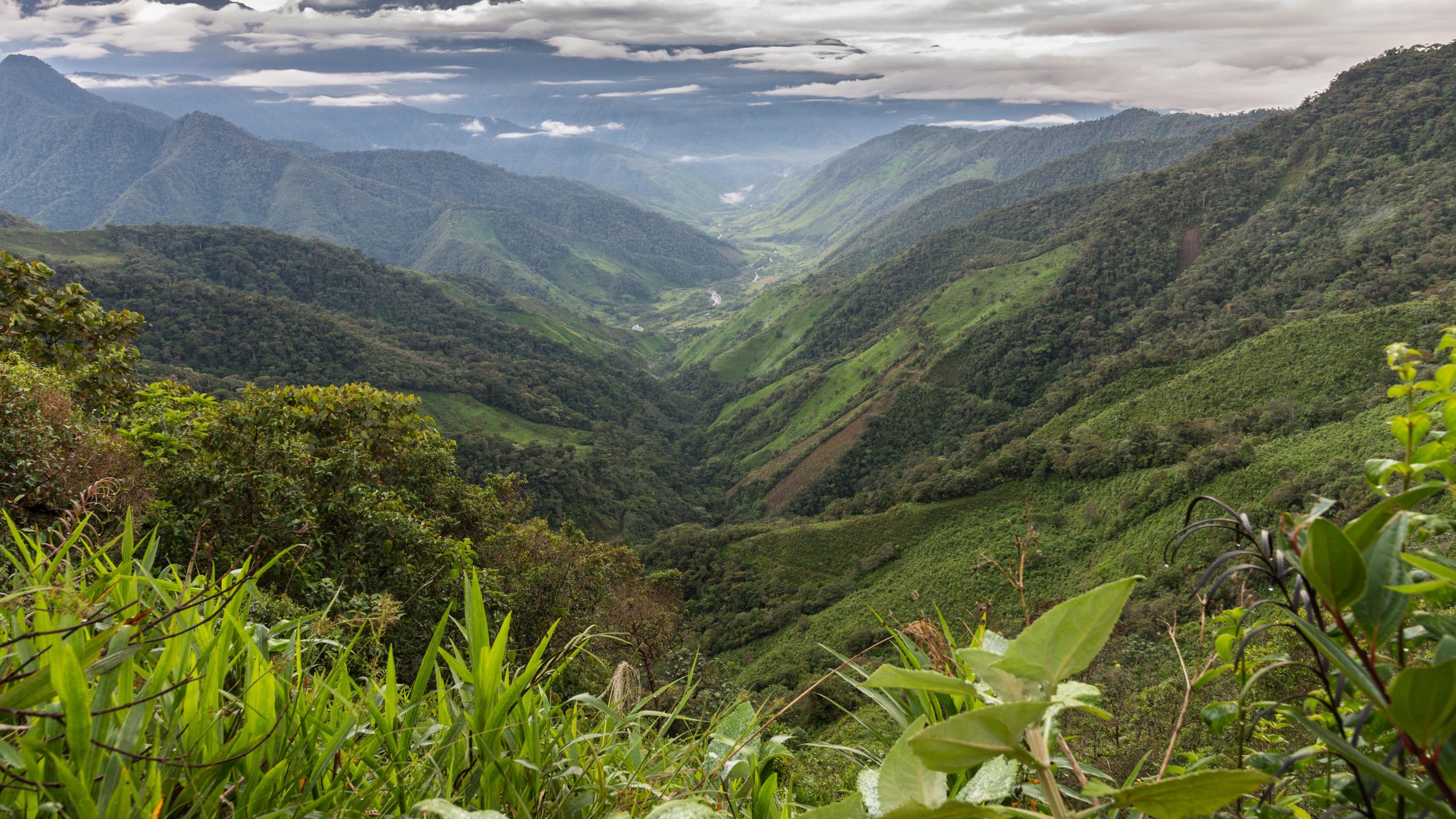 vista dos andes na colômbia