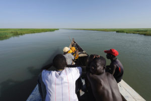 Passengers and steersman sitting on the front side of a pinasse, cruising the Niger Inland Delta. Mali.