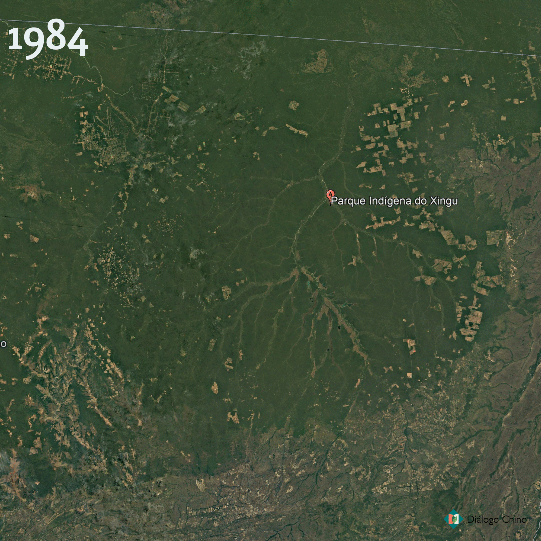 Expansão da soja chega cada vez mais perto do território indígena do Xingu