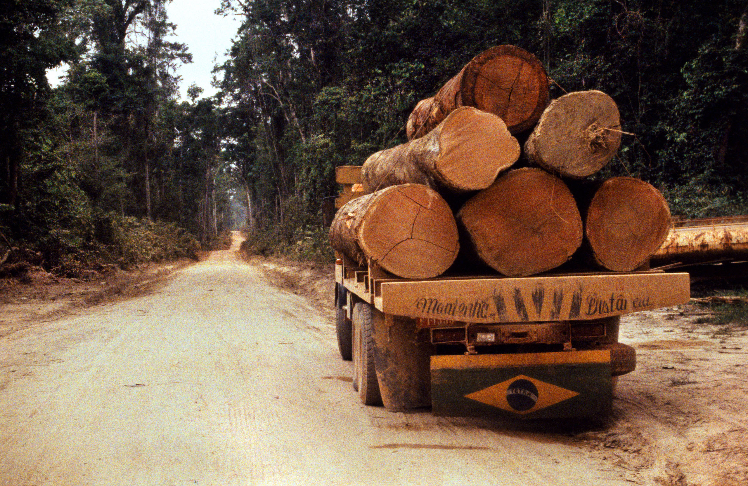 Logging truck with brazilian flag  paragominas para Brazil. South America.