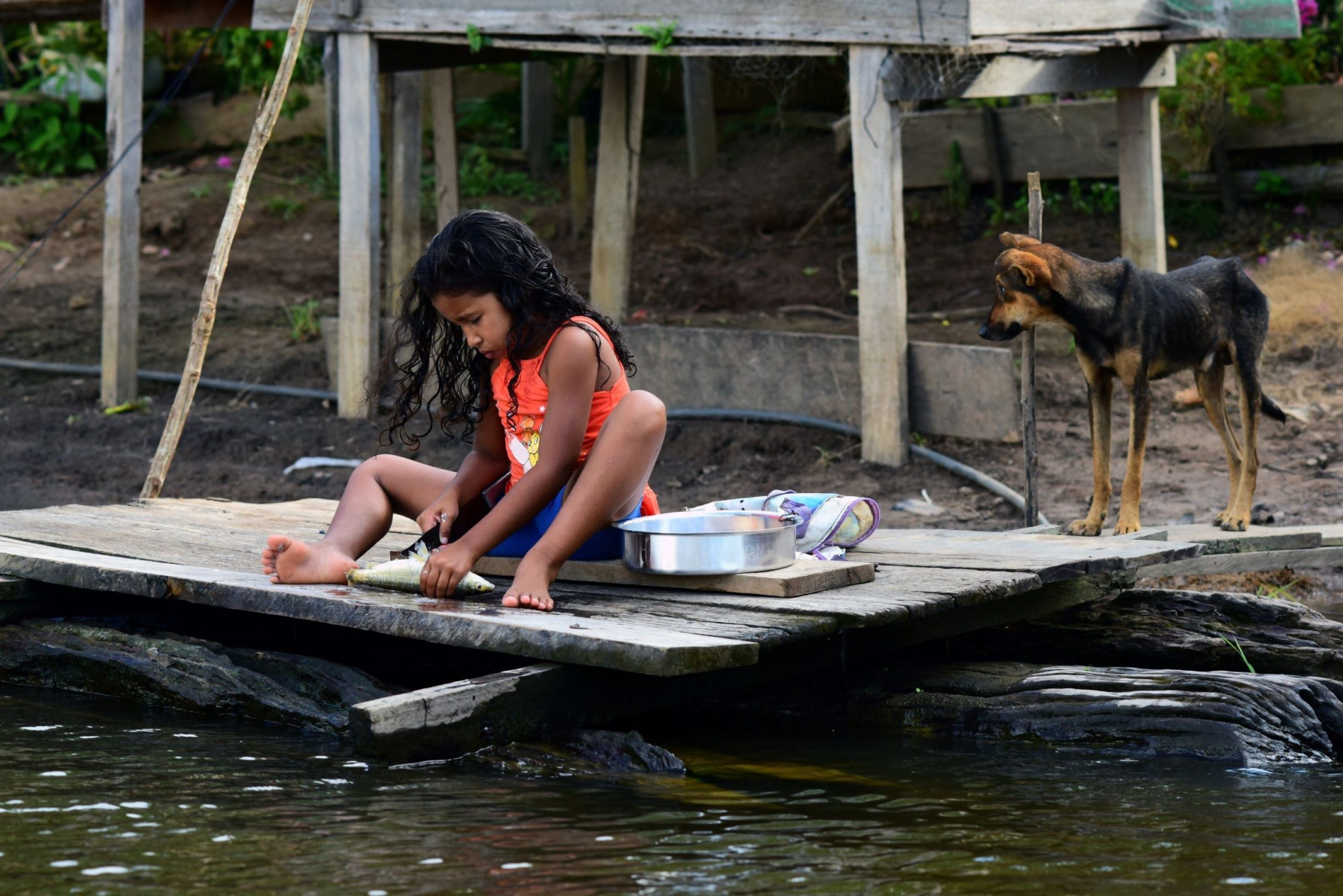A child from the Mura community, Autazes, cleans fish on the river bank