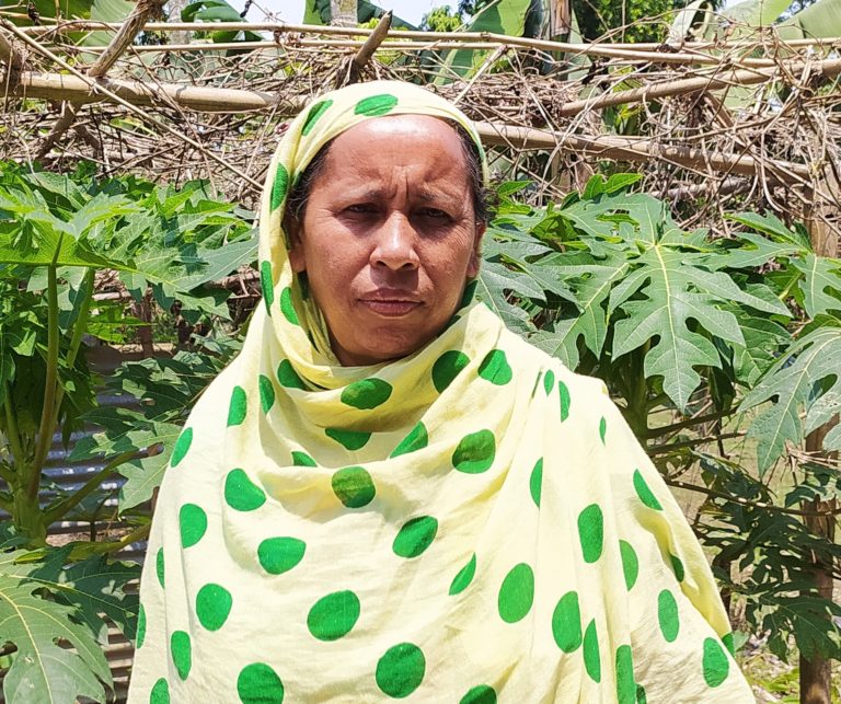 Begum Rice Flood-tolerant rice in Assam helps farmers adapt to climate change