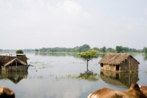 <p>Houses are submerged by a flood in India&#8217;s Bihar state. Every year, farmers are anxious about floods but also welcome the silt the floodwaters bring as it makes their land fertile. (Image: Alamy)</p>