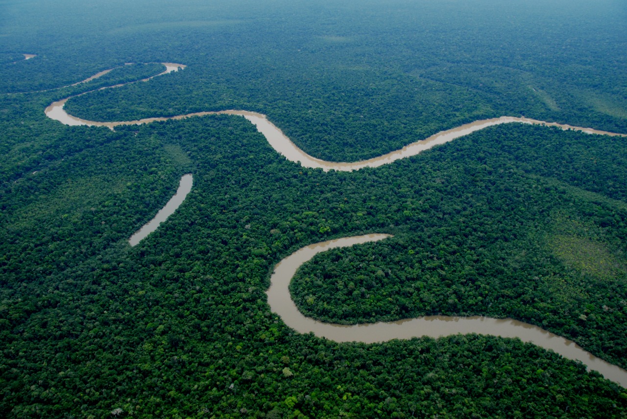 Aerial view of a river in Yaguas National Park