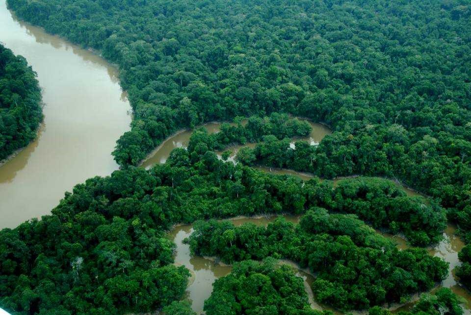 Visão aérea do Parque Nacional Yaguas, localizado no norte do Peru. 
