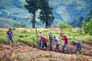Agricultores que trabalham a terra em El Salvador
