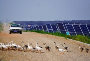 <p>The Kubuqi desert. Energy authorities in Inner Mongolia are aiming to connect 50 gigawatts of renewable power to the grid by 2025. (Image: Alamy) </p>