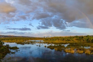 Cuerpo de agua en bioma del Cerrado en Brasil