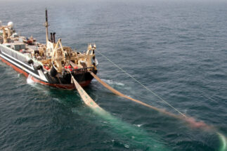 <p>A Lithuanian super-trawler near Mauritania (Image: Pierre Gleizes / Greenpeace)</p>