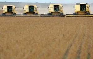 <p>Environmental clauses should not hinder the agriculture trade, says Larissa Wachholz, special advisor to the minister of agriculture (Image: Paulo Whitaker / Alamy)</p>
