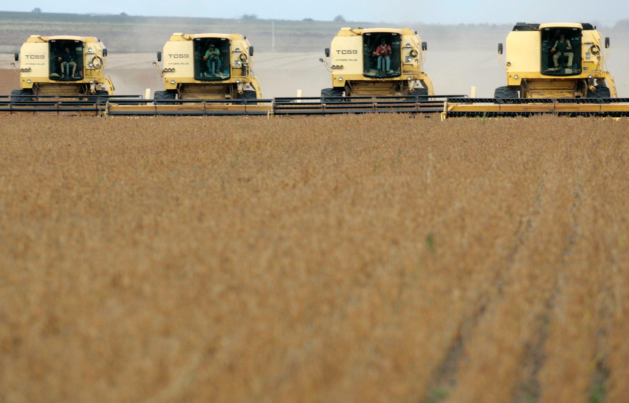 <p>Environmental clauses should not hinder the agriculture trade, says Larissa Wachholz, special advisor to the minister of agriculture (Image: Paulo Whitaker / Alamy)</p>