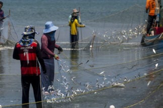 People fishing with nets