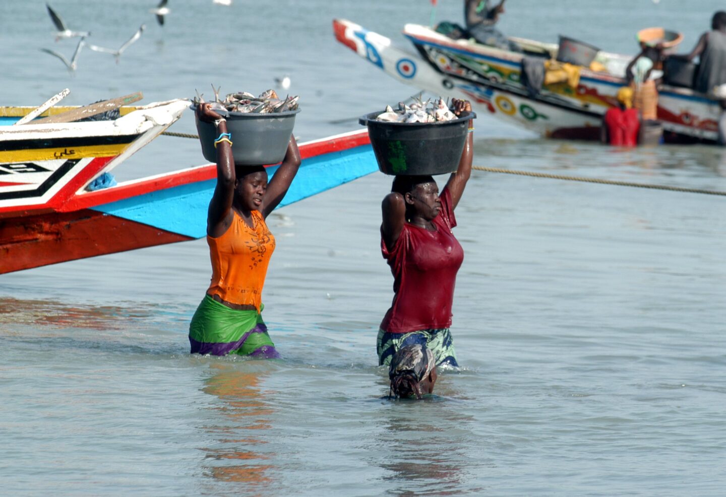 Mujeres descargando pesca