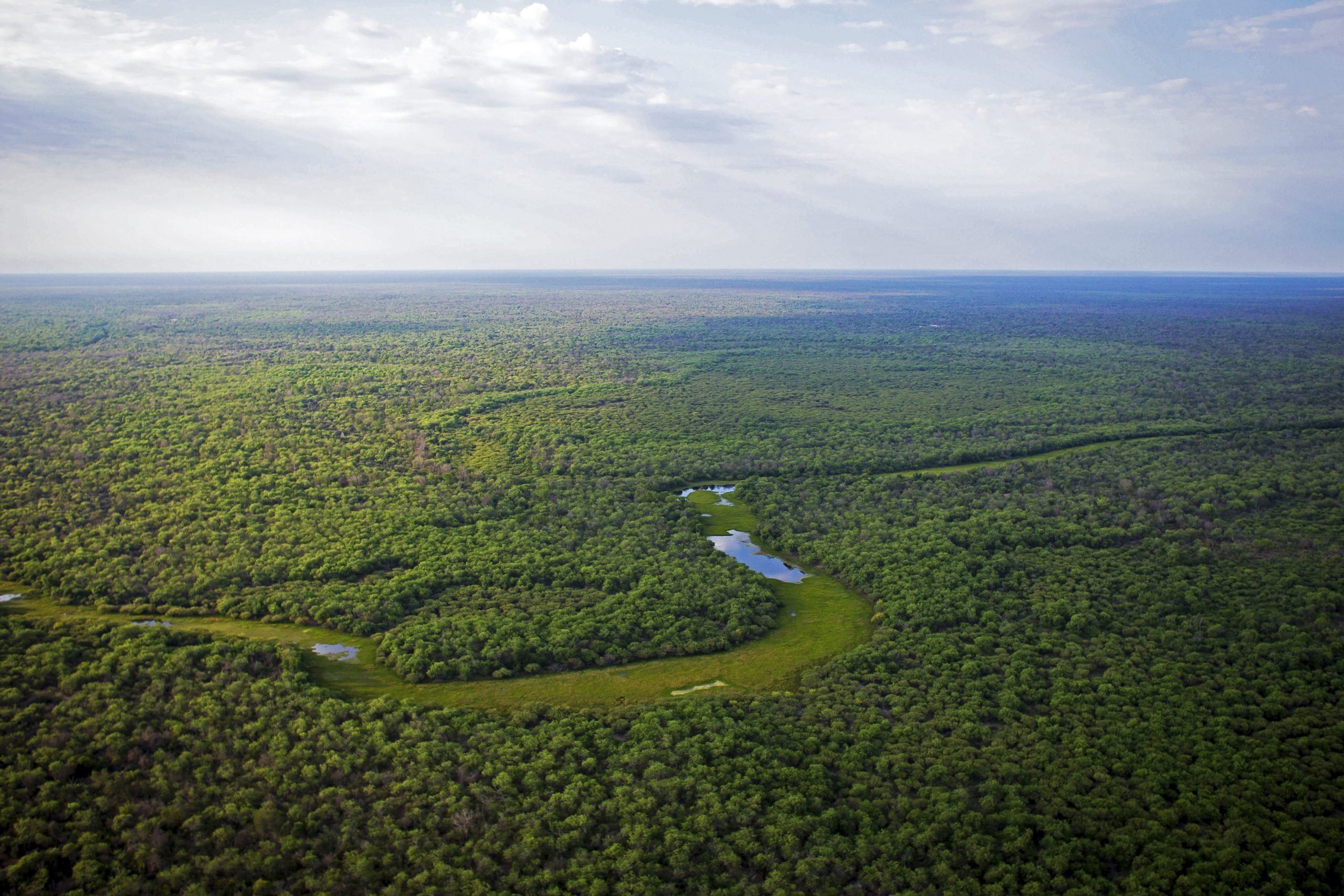 vista aérea de un bosque verde con un río en el medio