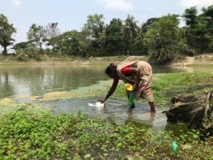 Shefali Biswas is collecting water from a pond