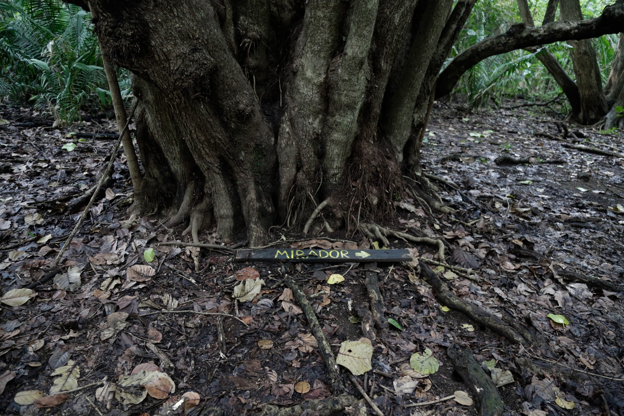 Uma placa caída mostra a direção ao ponto de observação do Refúgio Nacional de Vida Silvestre Camaronal