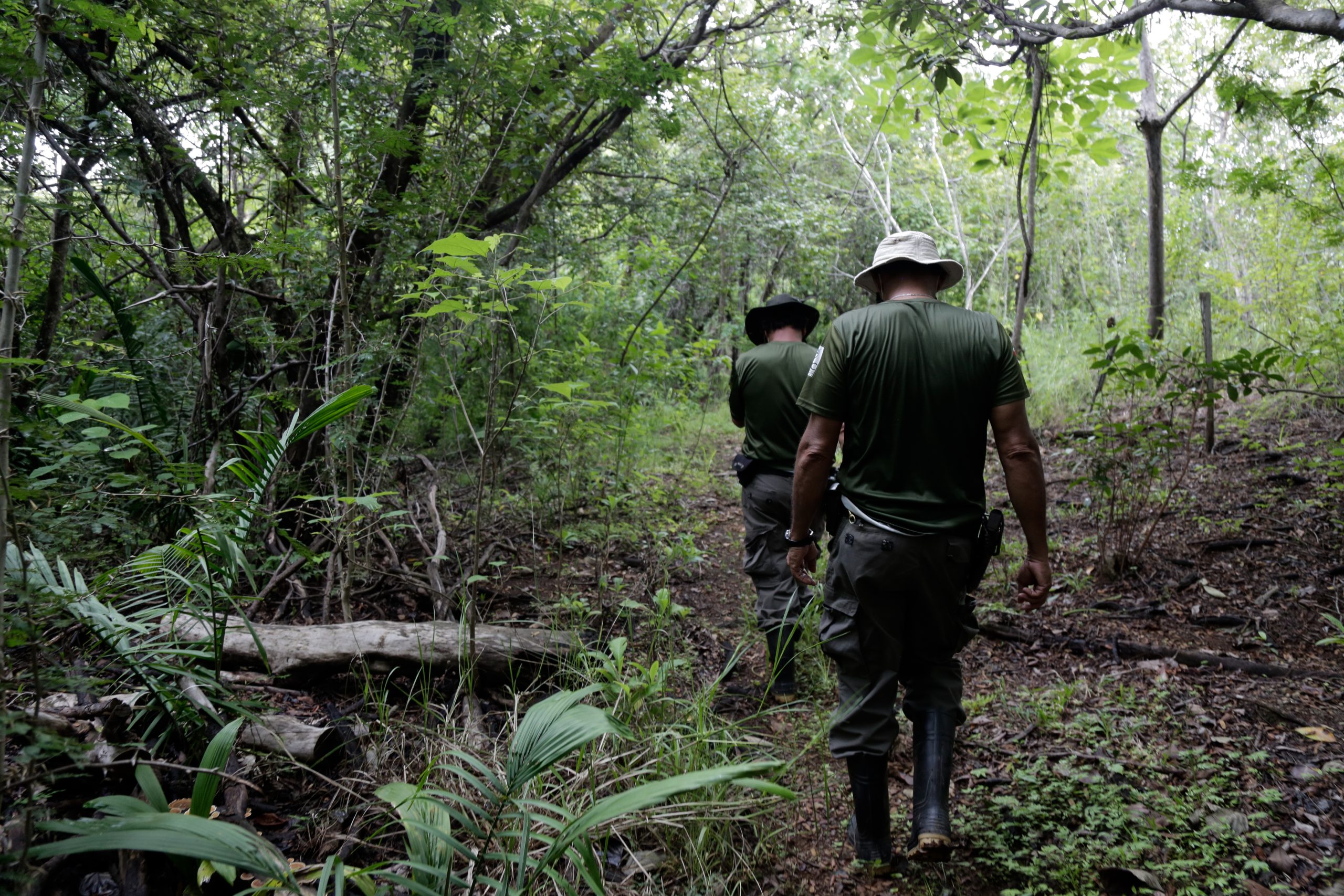 Manuel Alvarado (à frente) e Gelberth Obando (atrás) realizam uma patrulha através da floresta seca da Vida Silvestre Camaronal