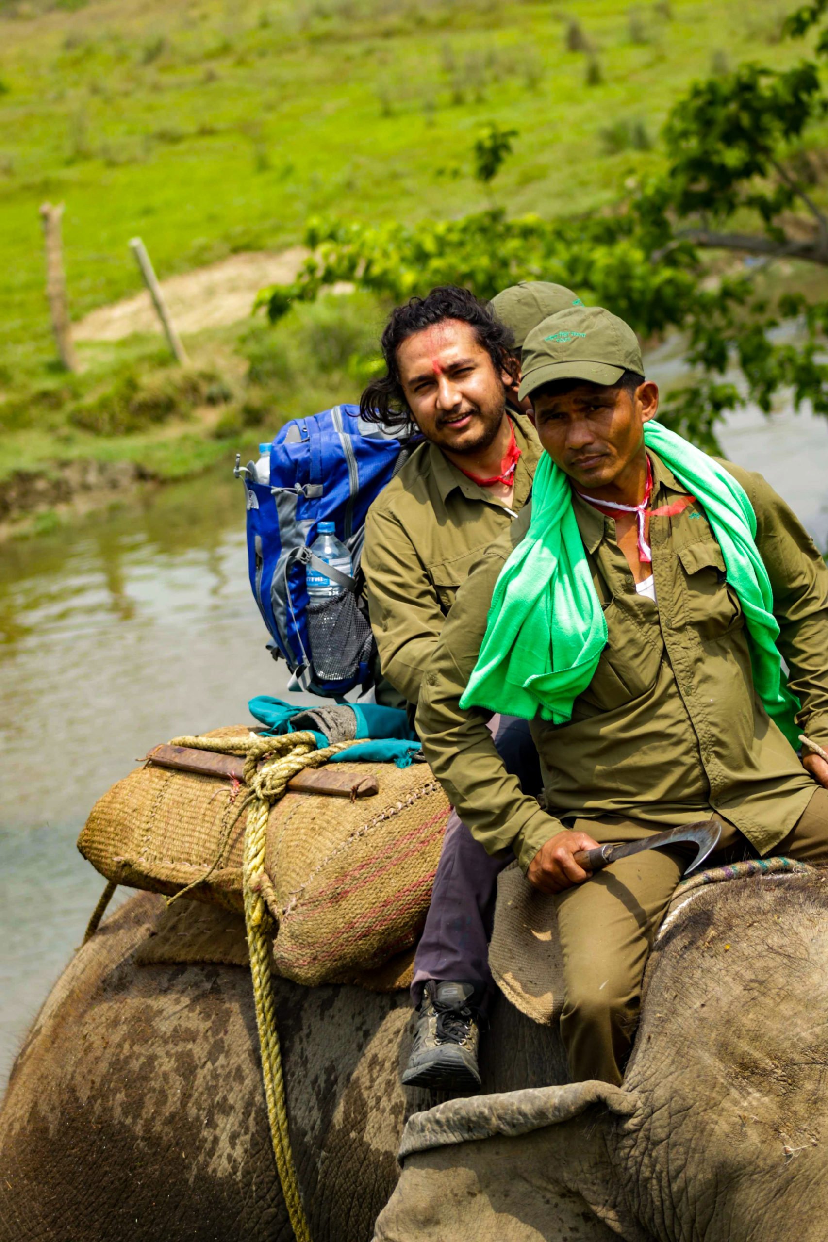 rhino census nepal