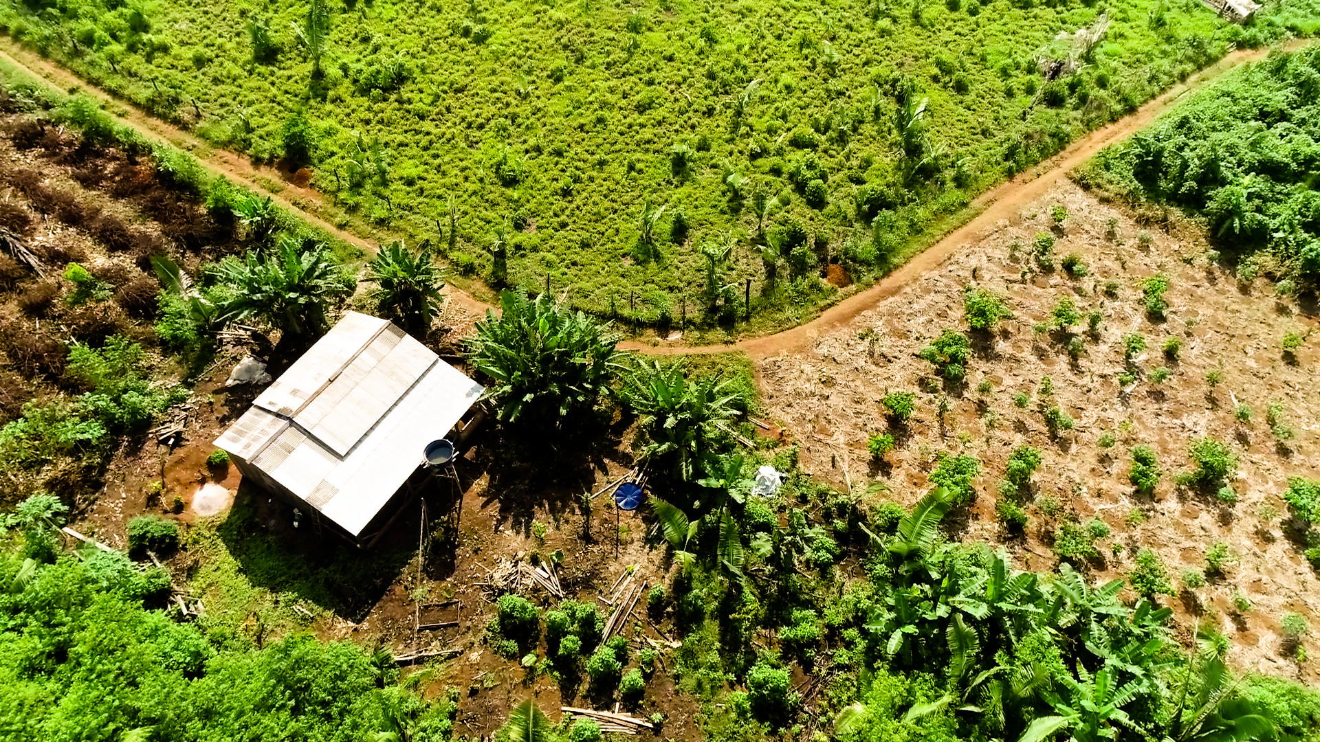 Aerial view of a house and plantation in Apuí