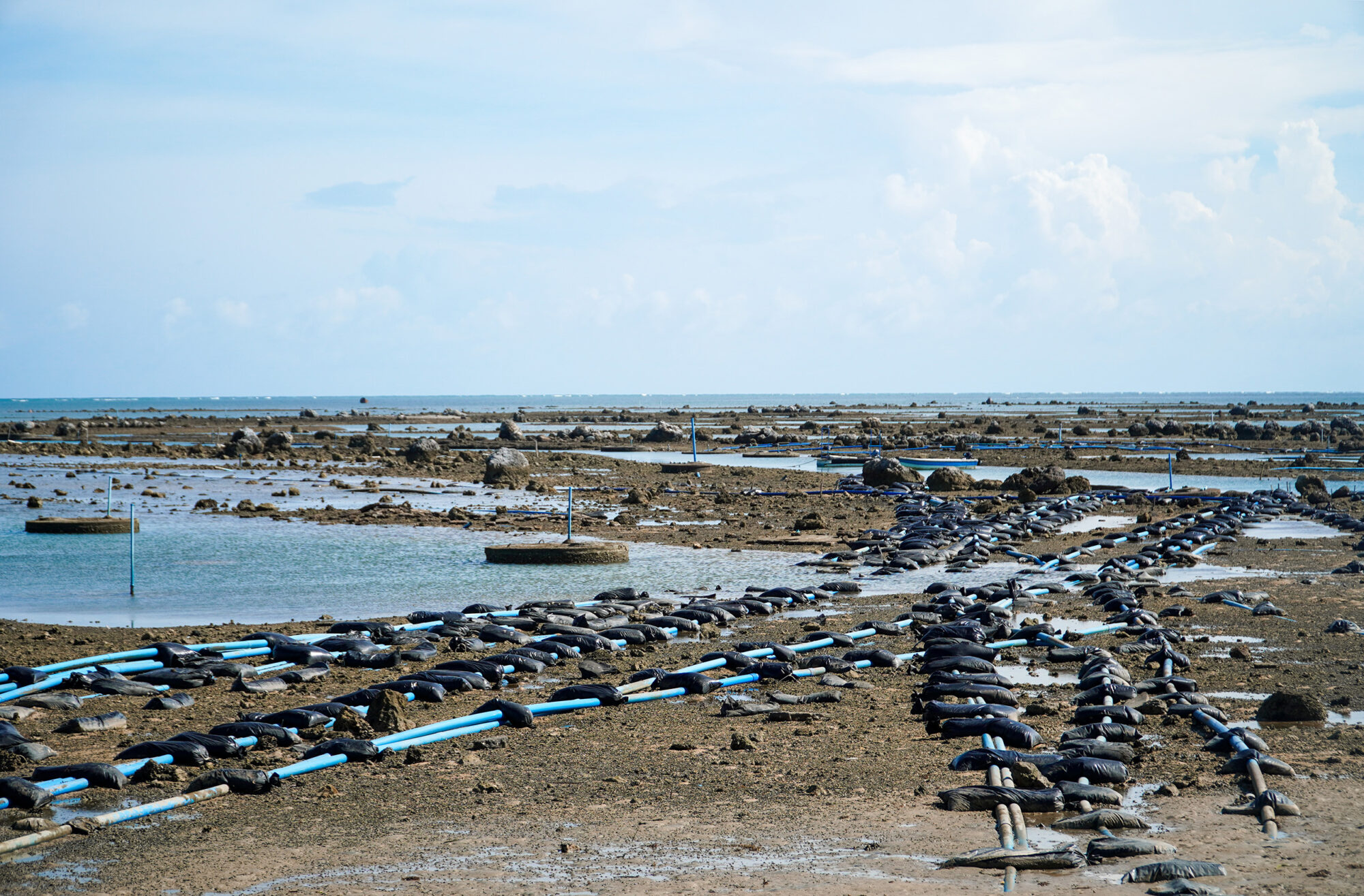 A mass of pipes stretch across Huiwen’s tidal flats 